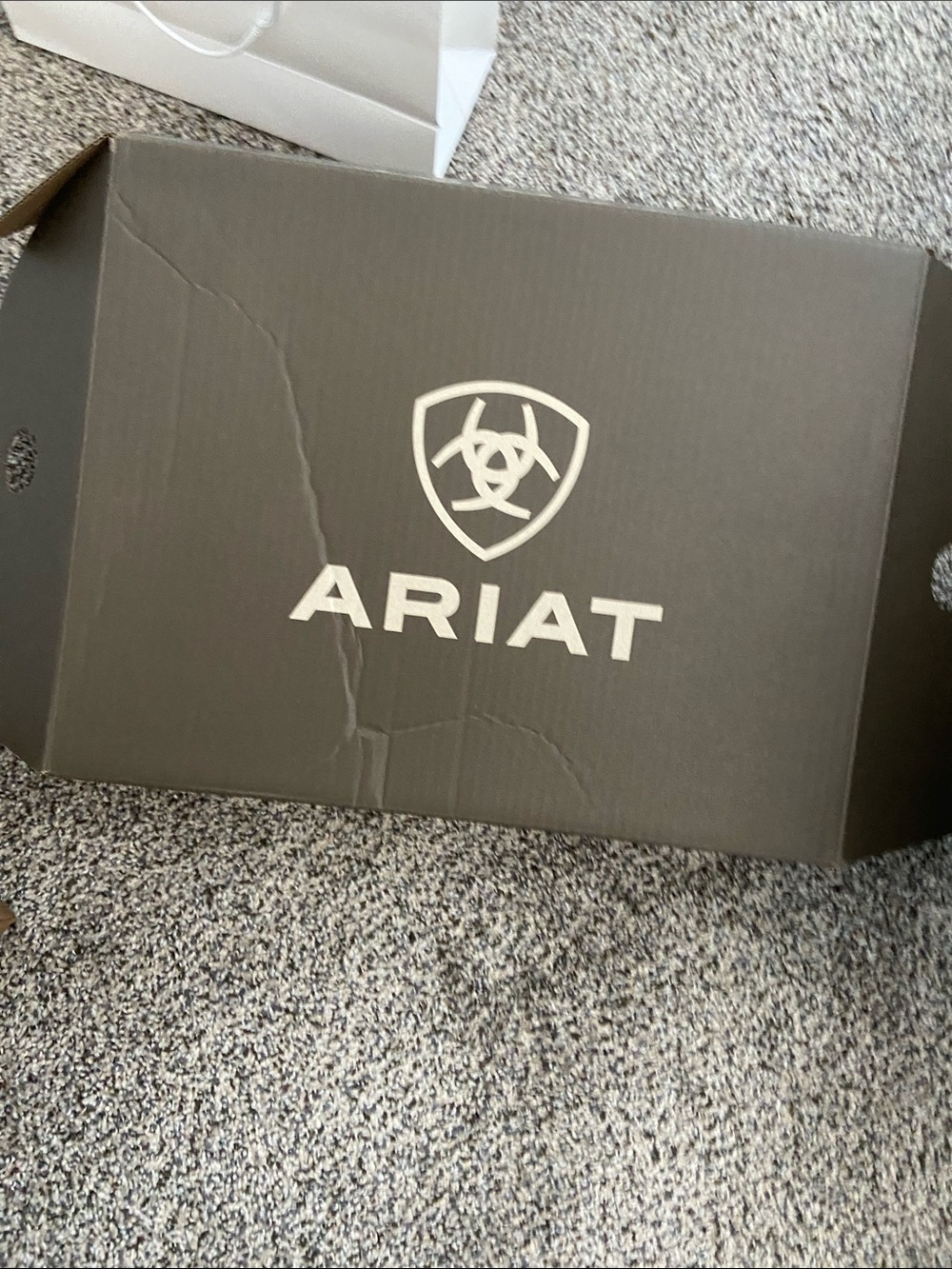 Ariat womans 9 boot - Picture 2 of 6